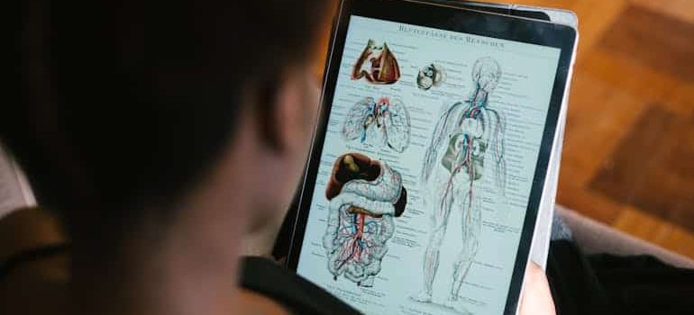 the picture of human body